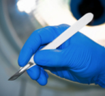 החופש הגדול: זמן לניתוח פלסטי-תמונה